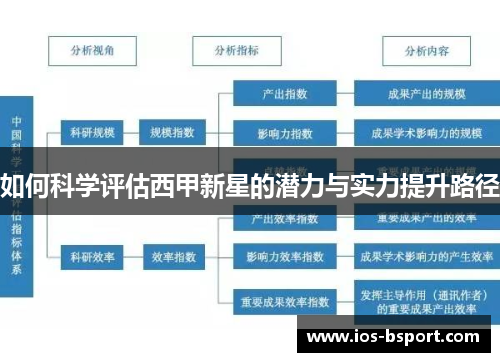 如何科学评估西甲新星的潜力与实力提升路径