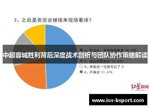 中超蓉城胜利背后深度战术剖析与团队协作策略解读